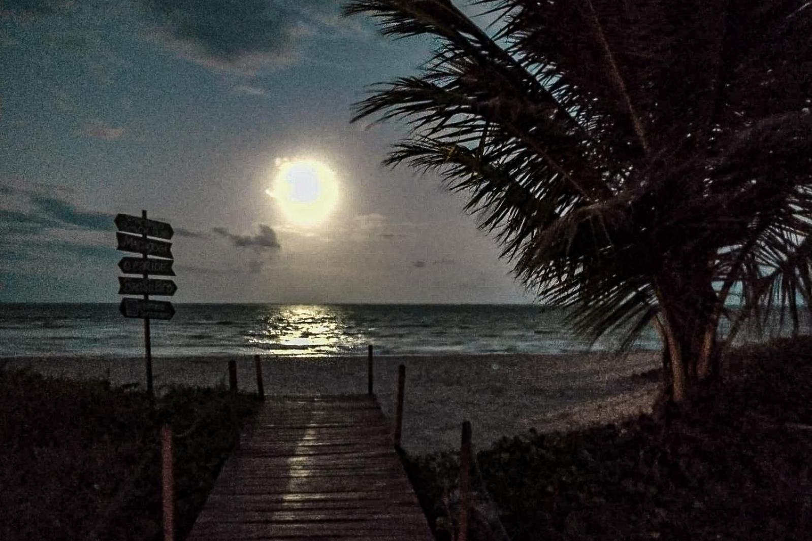 Xareu Flats: Aluguel De Temporada A Beira-mar! Maragogi